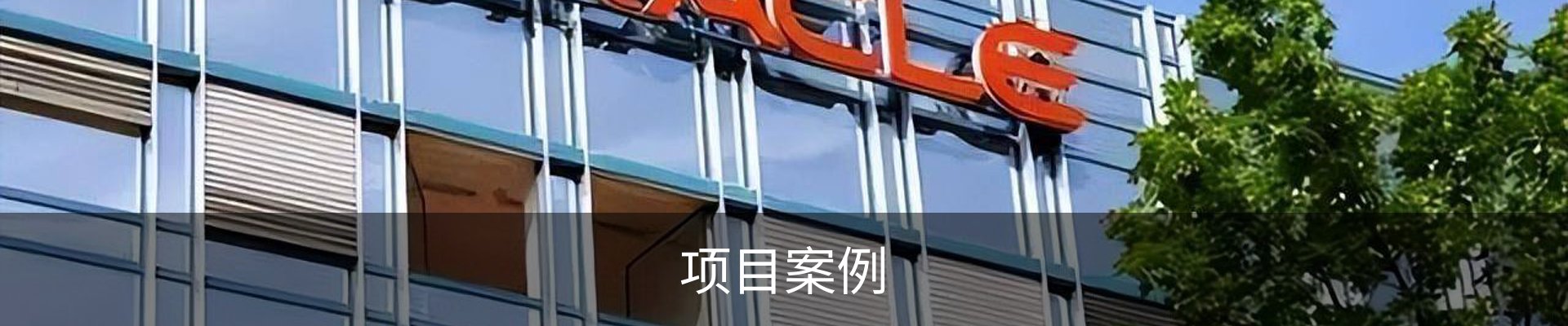 项目案例